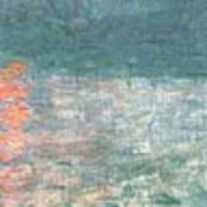 Meet your Posher, Cheyenne